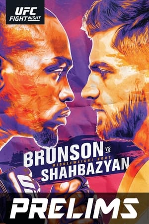 UFC Fight Night 173: Brunson vs. Shahbazyan poszter