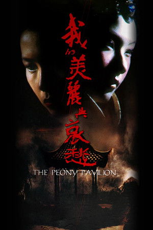 我的美麗與哀愁 poszter