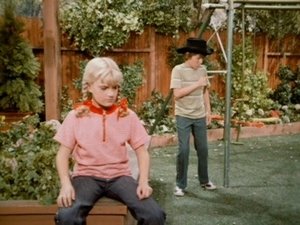 The Brady Bunch 4. évad Ep.17 17. epizód