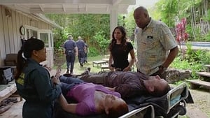 Hawaii Five-0 8. évad Ep.25 25. epizód