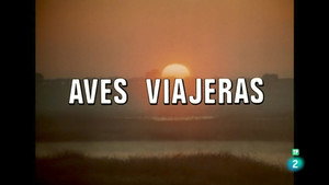 El hombre y la Tierra 2. évad Ep.37 37. epizód