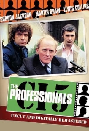 The Professionals poszter