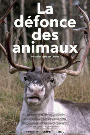 La défonce des animaux poszter