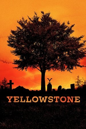 Yellowstone poszter