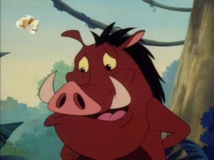Timon és Pumba a Föld körül 3. évad Ep.11 Gyűjtő szenved, te élj