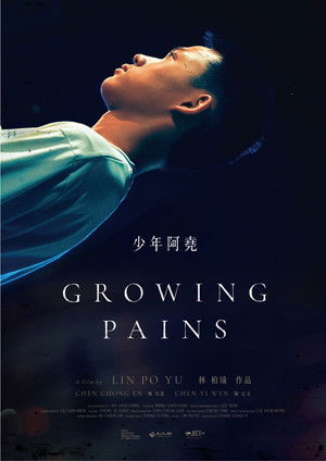 少年阿堯 poszter