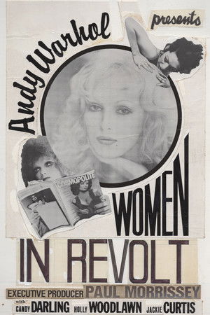 Women in Revolt poszter
