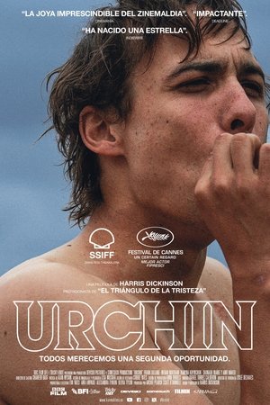 Urchin poszter