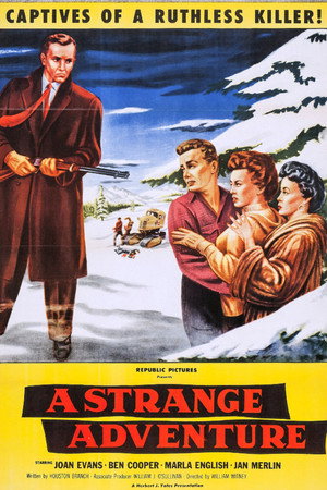 A Strange Adventure poszter