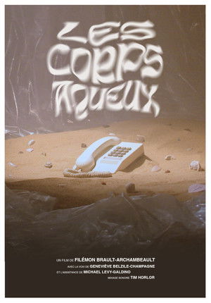 Les corps aqueux poszter