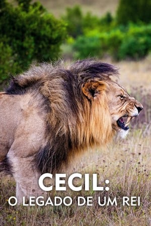 Cecil: Egy király öröksége poszter