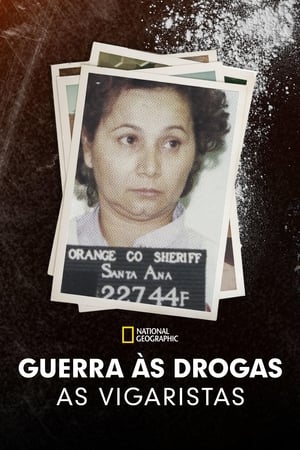 Narco Wars: Queenpins poszter