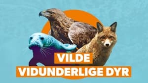 Vilde vidunderlige dyr kép