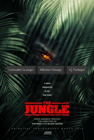 The Jungle poszter