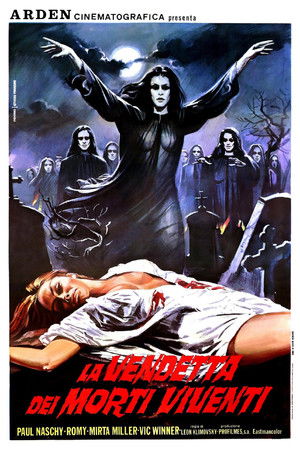 El extraño amor de los vampiros poszter