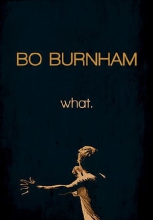 Bo Burnham: What. poszter