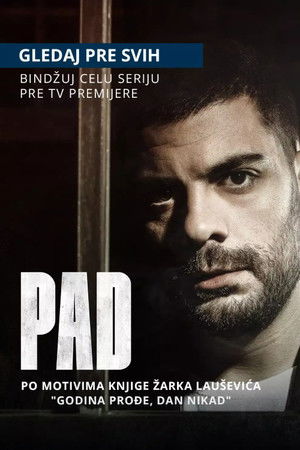 Pad