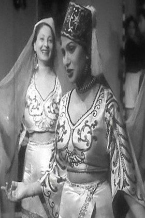 fatma ali profil kép