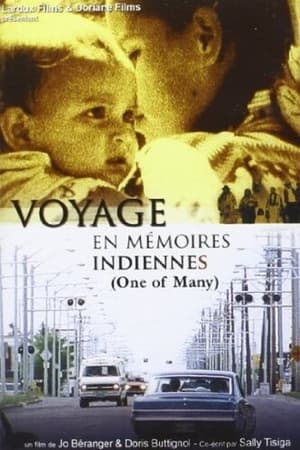 Voyage en memoires indiennes poszter