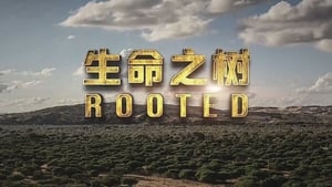 Rooted kép