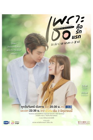 เพราะเธอคือรักแรก poszter