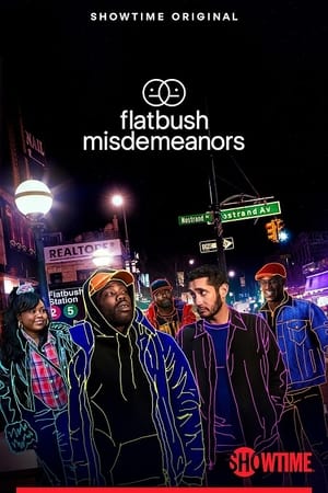 Flatbush Misdemeanors poszter