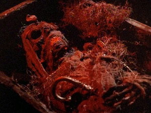 Swamp Thing Season 3 Ep.21 21. epizód