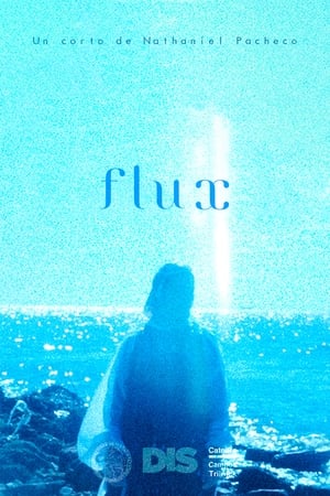 Flux poszter