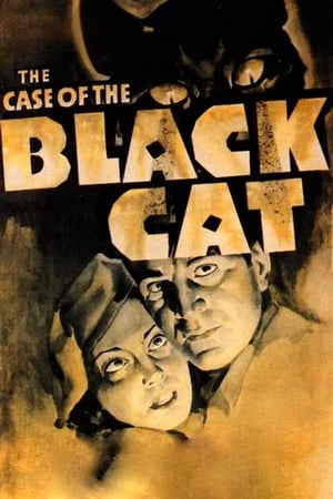 The Case of the Black Cat poszter