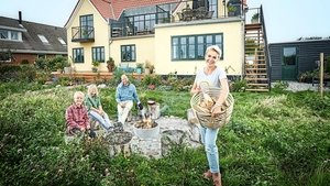 Beier bygger have kép