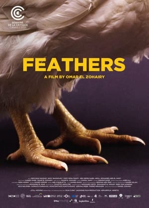 Feathers poszter