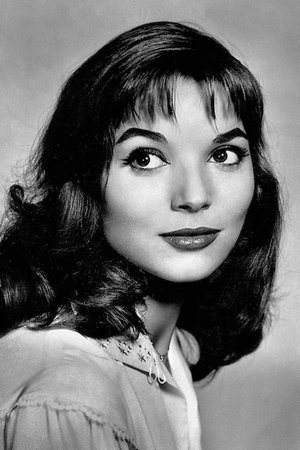 Elsa Martinelli profil kép