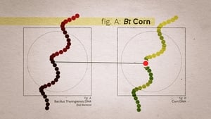 Food Evolution háttérkép