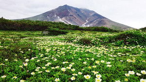 Wild Hokkaido! 1. évad Ep.12 12. epizód