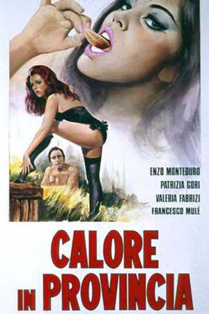 Calore in provincia poszter