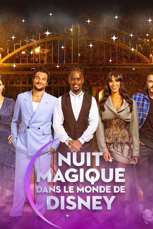 Nuit magique dans le monde de Disney poszter