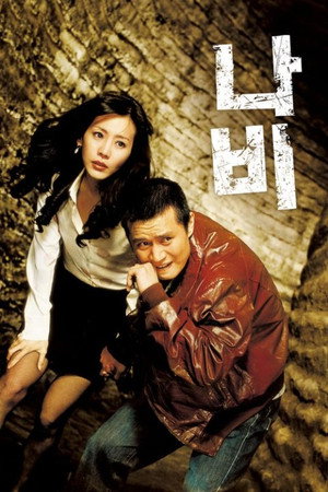 나비 poszter
