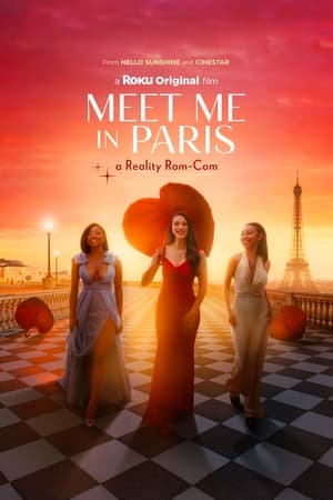 Meet Me In Paris poszter