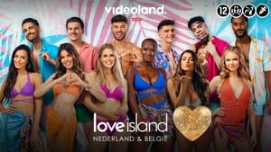 Love Island kép