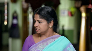 சின்னதம்பி Season 1 Ep.21 21. epizód