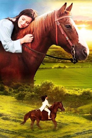 Horse Camp poszter