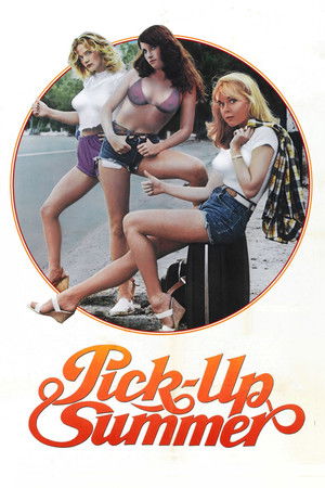 Pinball Summer poszter