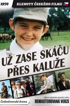 Už zase skáču přes kaluže poszter