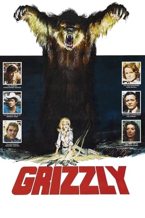 Grizzly poszter