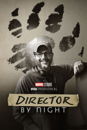 Director by Night poszter