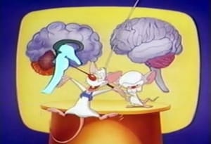 Pinky and the Brain 1. évad Ep.5 5. epizód