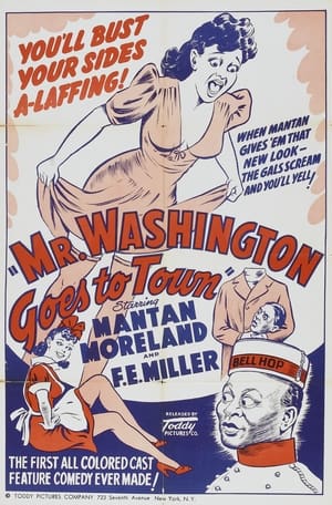 Mr. Washington Goes to Town poszter