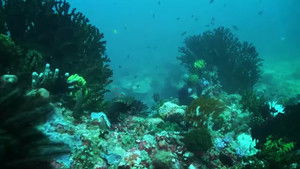 Dyesebel kép