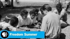 Freedom Summer háttérkép