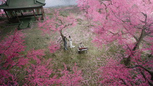 水龙吟 kép